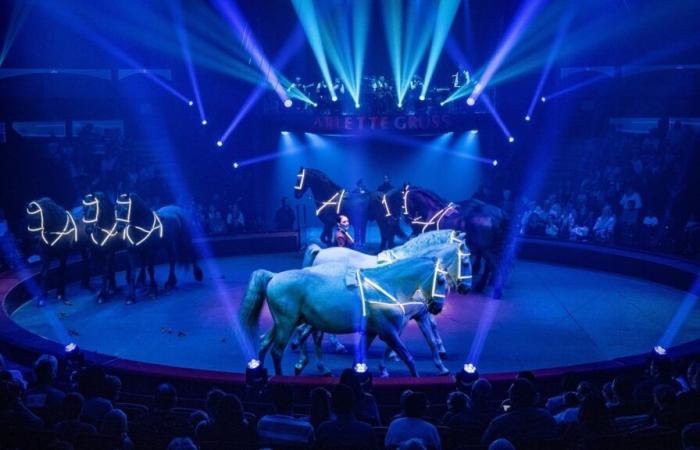 The most famous French circus returns to Bordeaux and celebrates its 40th anniversary