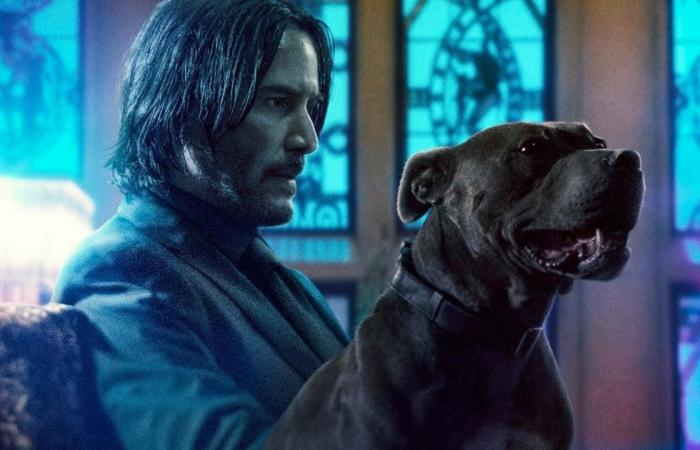 John Wick 3 – Parabellum, Keanu Reeves and that story