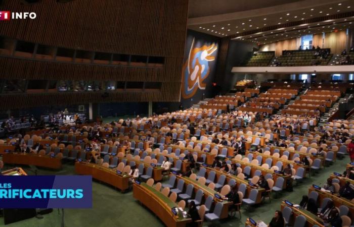 CHECK – Did France and Ukraine refuse a UN resolution against the glorification of neo-Nazism?