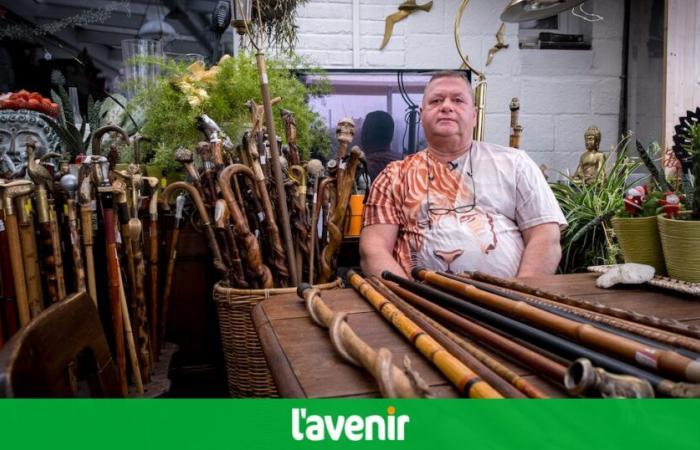 This Hennuyer sells his collection of 1000 old canes: “It’s starting to take up a lot of space” (video)