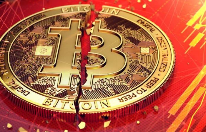 Collapse of Bitcoin and cryptocurrencies: what to do now?