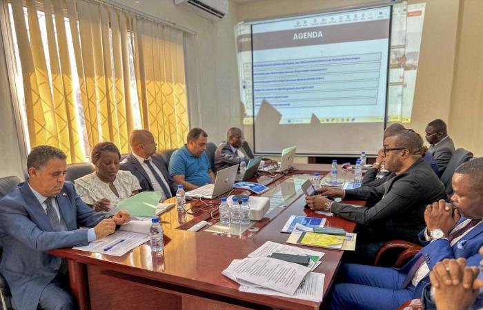 Digital: partners called to accelerate the e-governance project