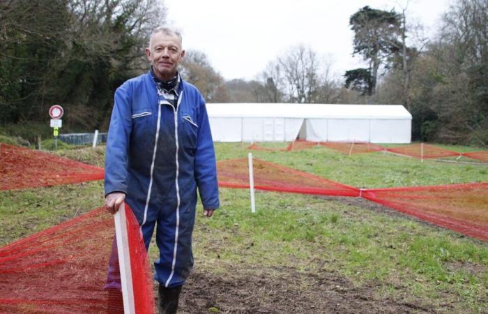 Cyclo-cross. Just before Christmas, Lannion wants to go all out this Saturday