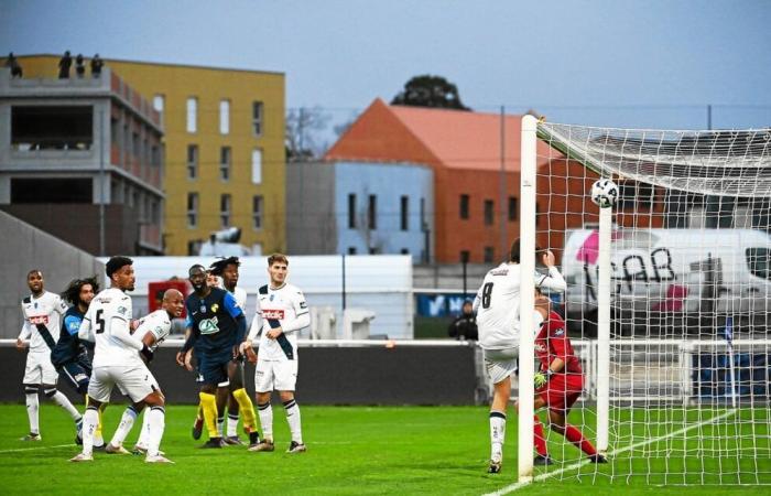 Saint-Brieuc – Le Havre: the summary of the exploit of Stade Briochin in the Coupe de France [Vidéo]