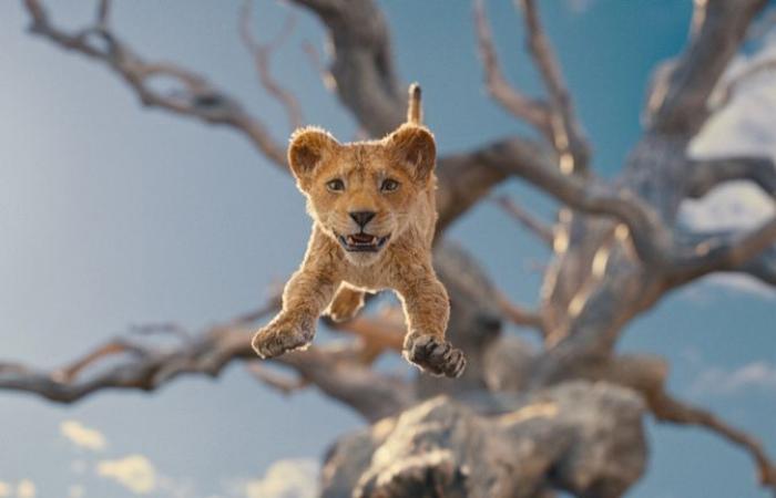 Mufasa: The Lion King – six key things to know before watching the prequel | Ents & Arts News