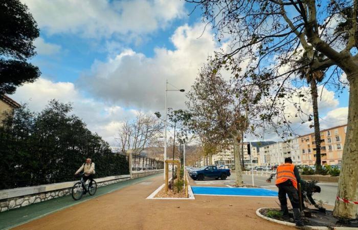 A renovated shared space for pedestrians and cyclists on Avenue de l’Infanterie de Marine in Toulon