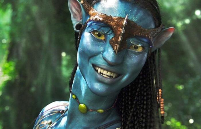 Zoe Saldaña offers new details about the plot of Avatar: Fire and Ash