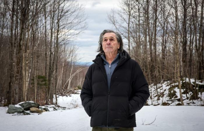 The forest of Guy Brière, the golden legacy of a businessman