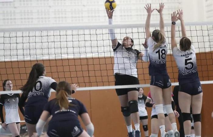 Volleyball. N2F: after its stunning victory against Vézily, Angers is getting closer to maintaining.