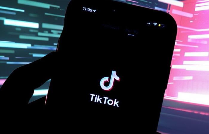 Soon to be banned, TikTok reveals the secrets of its algorithm