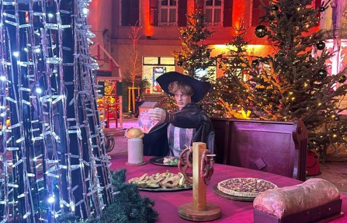 With its “Enchanted Forest”, Sundgau extends the magic of Christmas until January 5!