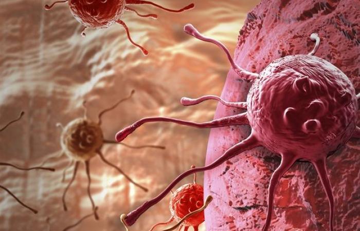 Scientists discover role of tumor stiffness in promoting cancer cell proliferation