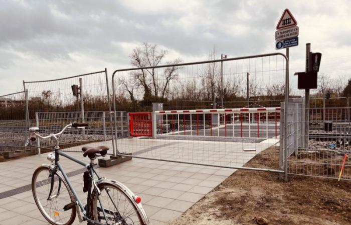 a level crossing now connects the tram to the Coop district!