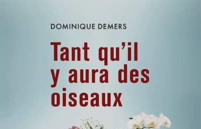 Here are 10 Quebec books to slip under the Christmas tree