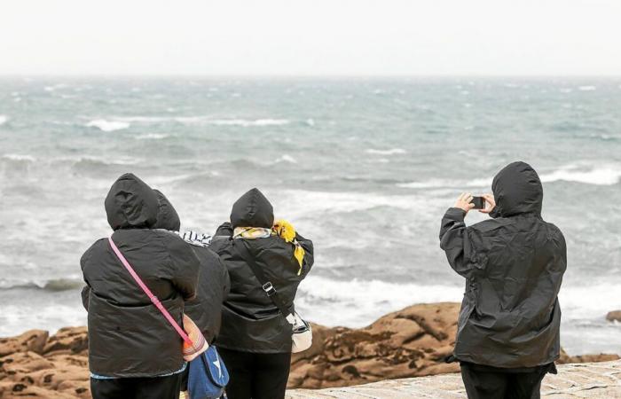 Gale, fog, then sunny spells: what will the weather be like for the Christmas holidays in Brittany?