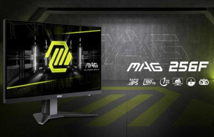 Good deal: the MSI MAG 256F screen (IPS at 180 Hz) at its best price