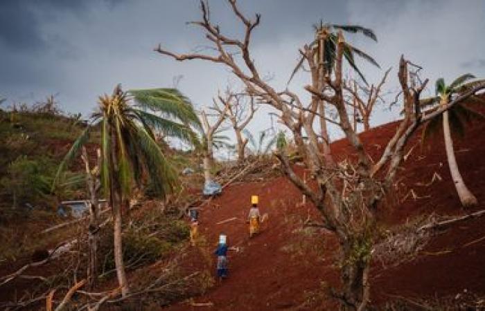 IN PICTURES. Cleaning, quest for drinking water and food… After the passage of Cyclone Chido, the inhabitants of Mayotte try to survive