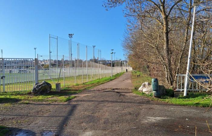 What is this large-scale project that is unmissable from the edge of the Toulouse ring road?