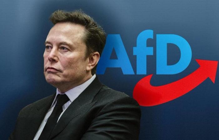 AfD election advertising: “This man is a threat. Trump, Farage and now AfD,” says the Union