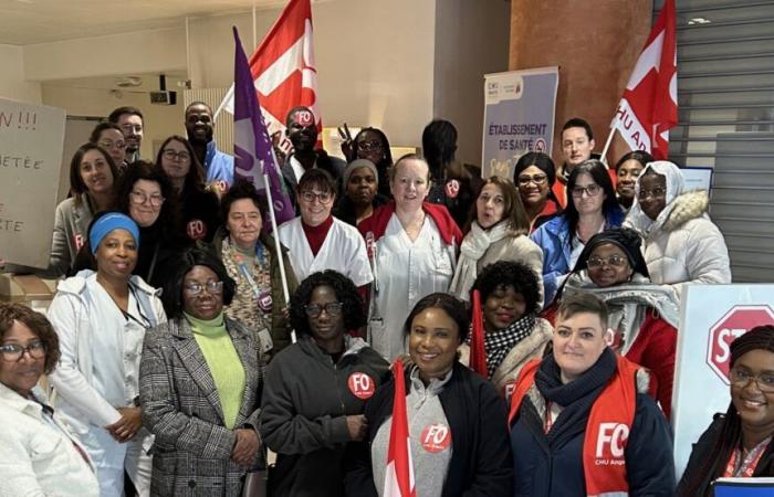 Angers University Hospital: Gathering of Hospital Nursing Assistants during the supervisory board meeting