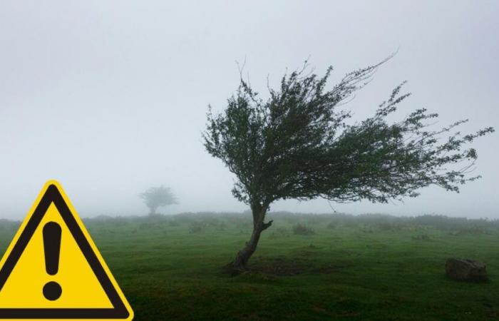 Yellow Met Office weather warning issued for Bolton