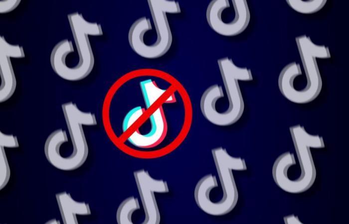 Soon to be banned, TikTok reveals the secrets of its algorithm