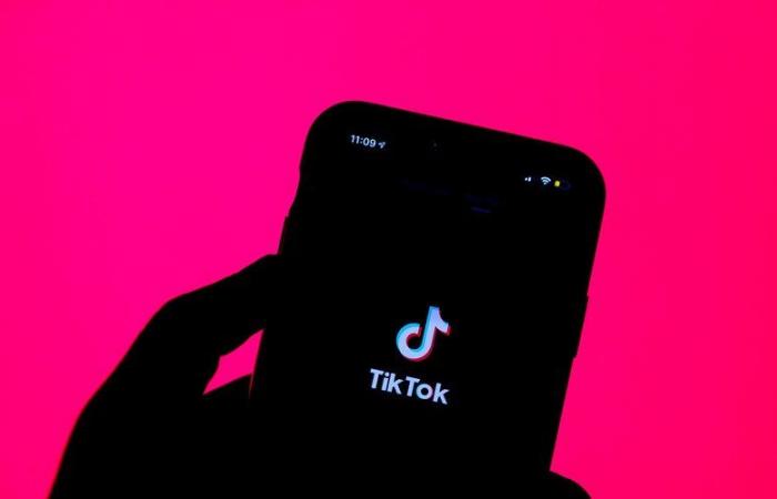 “TikTok is the neighborhood thug”, after the death of a 14-year-old teenager, Albania announces ban on the application for a year