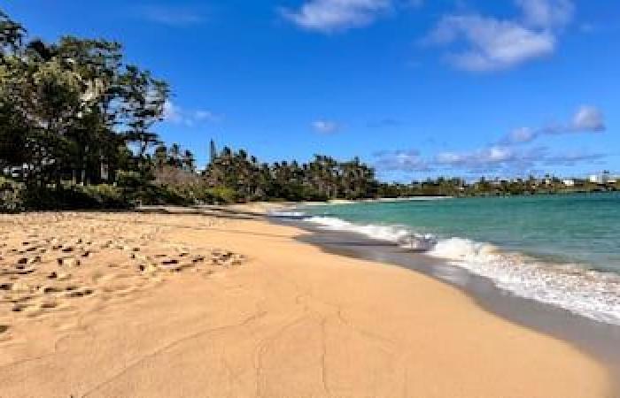 Hawaii: Best Things to Do in Honolulu