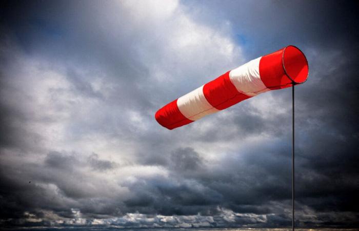 Storm Enol. Nord-Pas-de-Calais goes on alert this Saturday with violent winds forecast