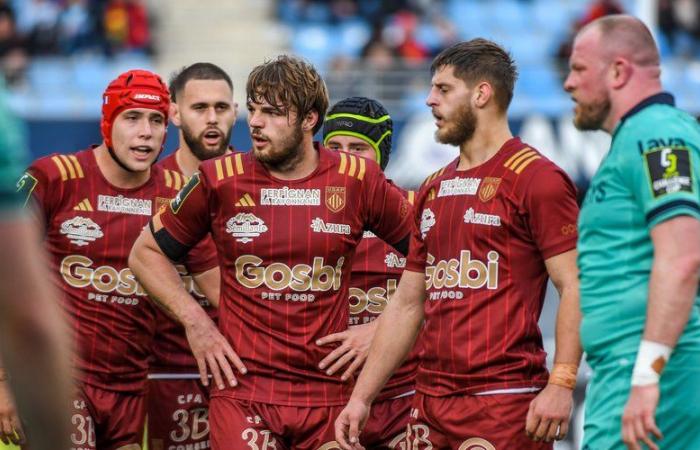 Top 14: why will the Italian Alessandro Ortombina be able to play with the USAP in Paris?