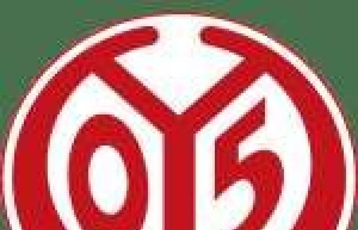 Eintracht Frankfurt and Stuttgart fall – Bundesliga – J15 – Summary