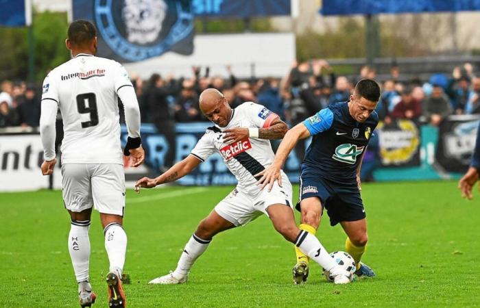 Coupe de France “Saint-Brieuc deserves its qualification”, “we didn’t even play a football match”… The cold anger of Mathieu Bodmer (Le Havre)﻿