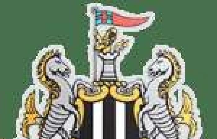 Nottingham knocks out Brentford, Newcastle scatters Ipswich – Premier League – J17 – Summary