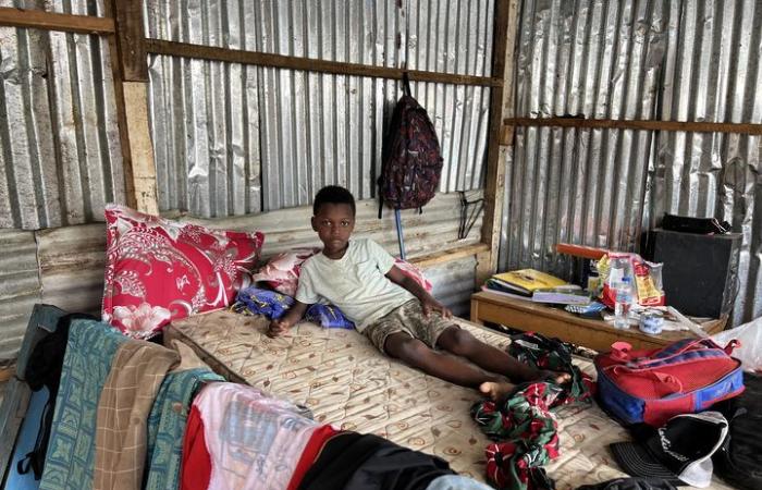 in Mayotte, a week after cyclone Chido, the reconstruction of shanty towns has already begun