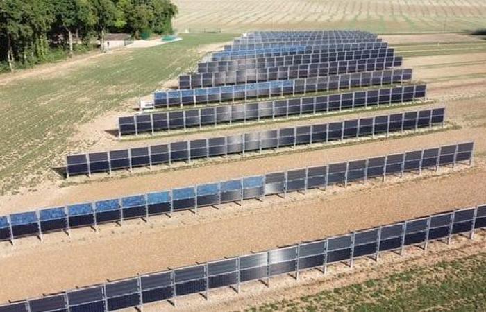 TotalEnergies and Dijon Céréales unite around an agrivoltaic project