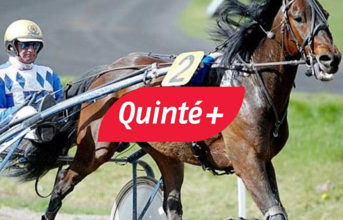 Quinté prediction of the day (Saturday December 21) at Paris-Vincennes: Prix d’Evreux, odds, favorites