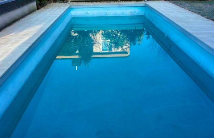 Drowning of a cat in Zurich: the owner of the swimming pool is exonerated