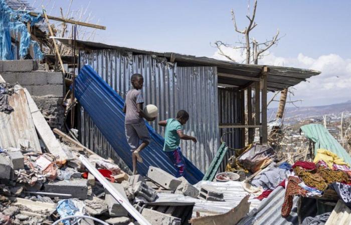 IN PICTURES. Cleaning, quest for drinking water and food… After the passage of Cyclone Chido, the inhabitants of Mayotte try to survive