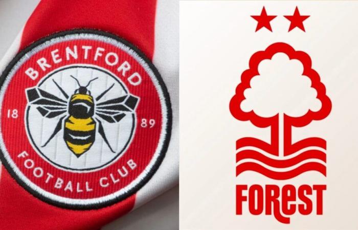 Brentford vs Nottingham Forest: Preview, predictions and lineups