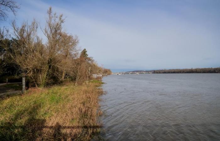 “It was a cesspool!” » How did the Rives d’Arcins shopping center, in Bègles, become a “green window on the Garonne”?