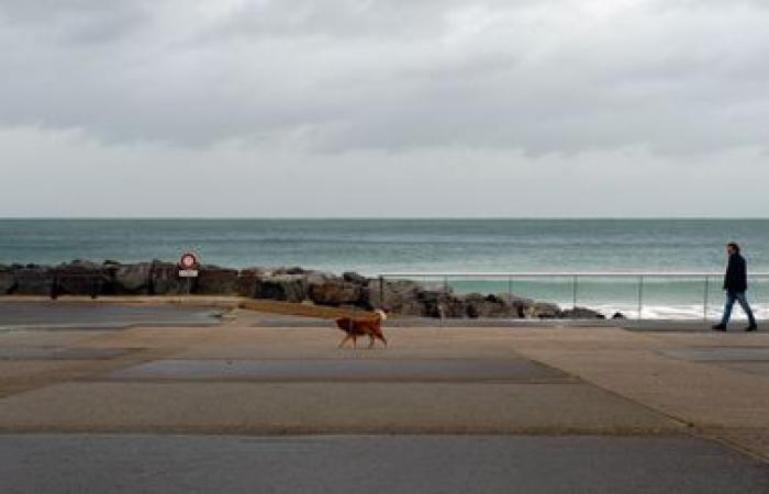 three departments in the North-West placed on orange alert for risks of violent winds