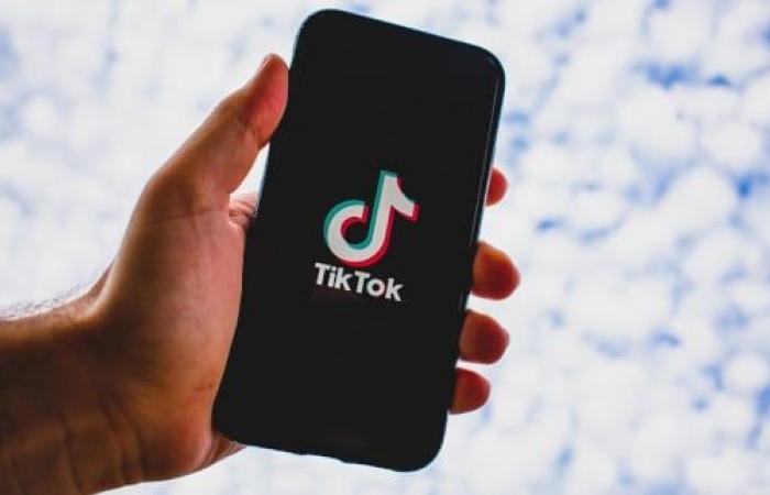 here is the biggest hit of the year according to TikTok!