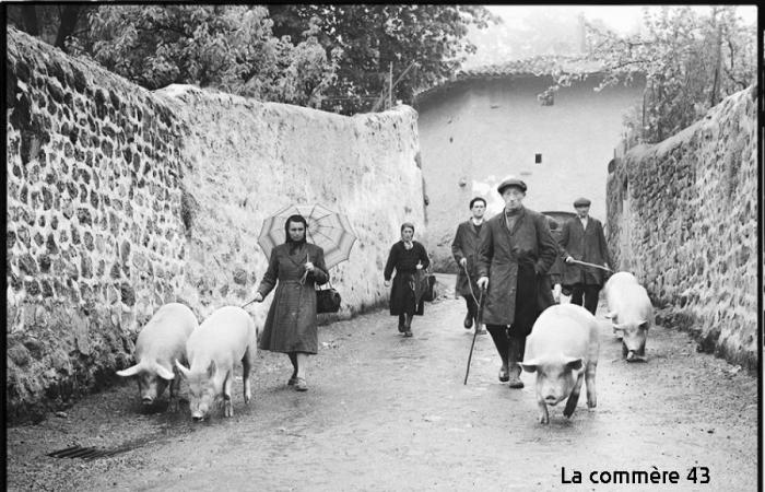 “This is how we lived” in Haute-Loire yesterday, a book by Guy Marcon from Hauteur d’Homme