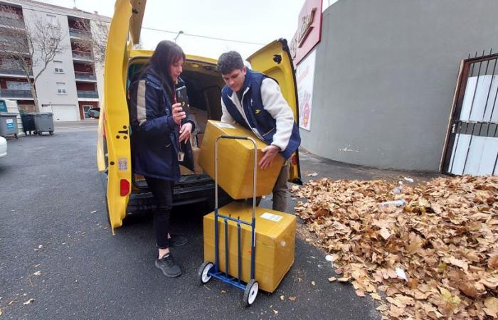 “A peak of 9,500 parcels to distribute”: to deliver in time for Christmas, La Poste and the Narbonne postmen are pulling out all the stops