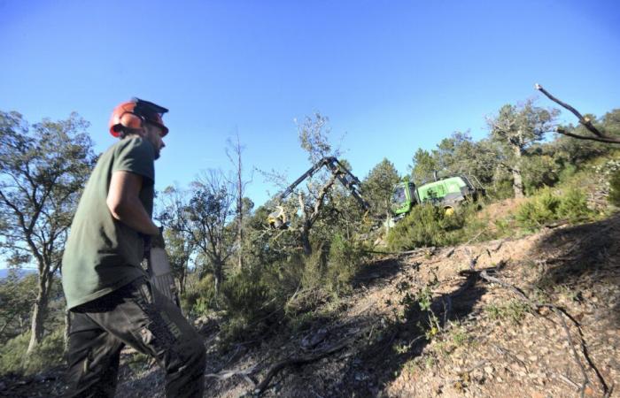 In winter too, the fight against fires is carried out in the forests of Est-Var