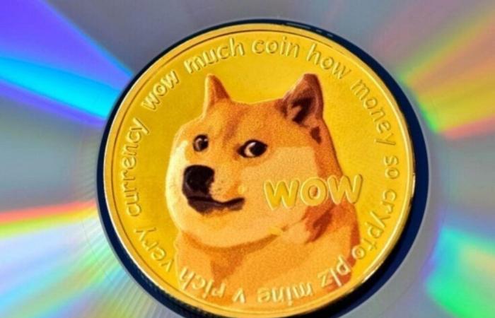 Dogecoin Price Down 21%: Why Did DOGE Drop to 28 Cents?