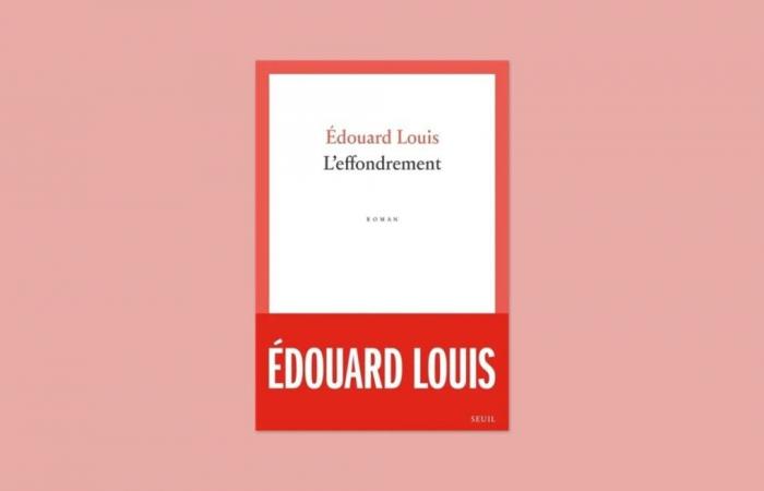 Review of the novel “The Collapse” by Édouard Louis