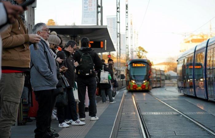 Attendance, quality of service, safety: what is the assessment one year after the launch of free public transport in Montpellier?