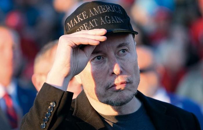 Elon Musk again talks about himself: “In Germany I support the Afd”