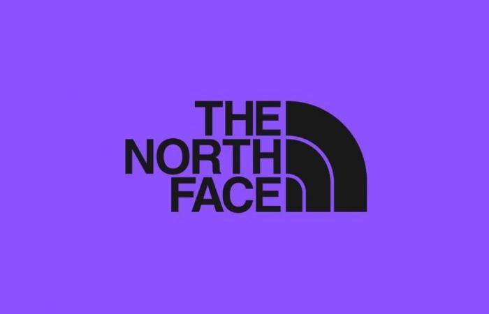 Face winter with this The North Face jacket at a bargain price